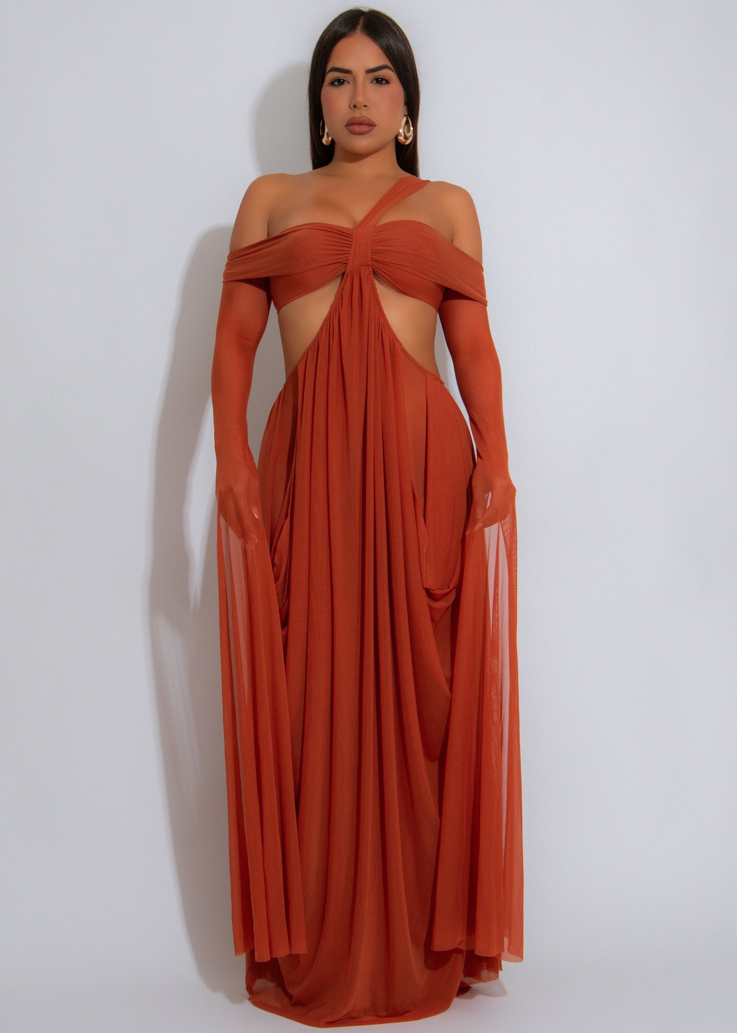 Enchanted Veil Ruched Mesh Maxi Dress Brown
