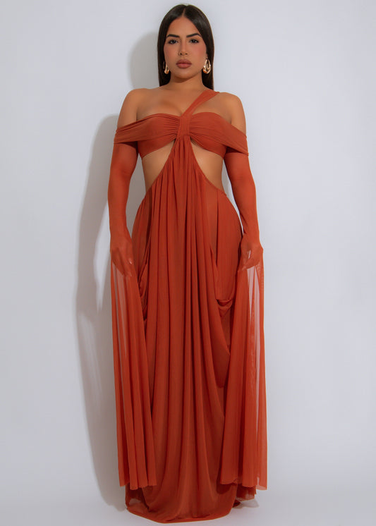 Enchanted Veil Ruched Mesh Maxi Dress Brown